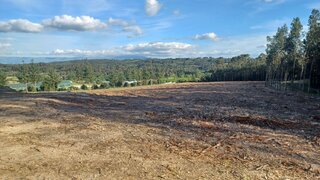 Land for sale in Nelas, Portugal — €70,000