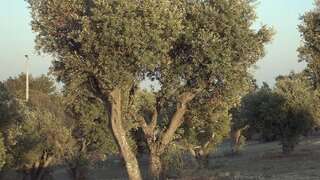 Land for sale in Carrazeda de Ansiães, Portugal — €35,000