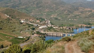 Land for sale in Torre de Moncorvo, Portugal — €25,000