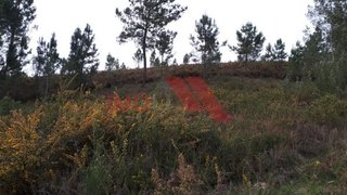Terreno para venda em Arcos de Valdevez, Portugal — 100 000 €