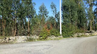 Terreno · 1970 m² · 50 000 €