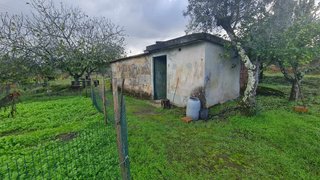 Terreno em Seia