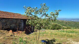 Terreno para venda em Celorico da Beira, Portugal — 41 500 €