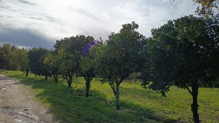Land for sale in Santa Comba Dão, Portugal — €18,690