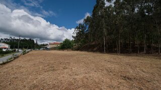 Land for sale in Oliveira de Frades, Portugal — €40,000
