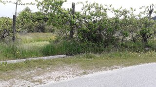 Land for sale in São Pedro do Sul, Portugal — €75,000