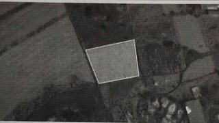 Land for sale in Santa Comba Dão, Portugal — €8,000