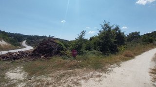 Terreno em Aguiar da Beira