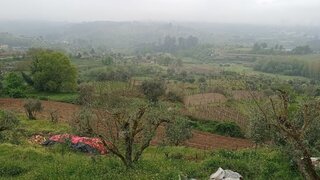Land for sale in Penalva do Castelo, Portugal — €27,000