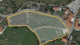 Land for sale in Peso da Régua, Portugal — €250,000