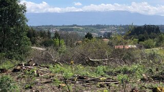 Terreno para venda em Mangualde, Portugal — 60 000 €