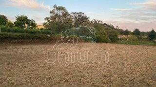 Terreno em Viana do Castelo · 1190 m² · 50 000 €