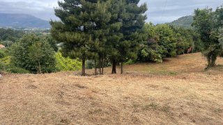 Land for sale in Viana do Castelo, Portugal — €65,000
