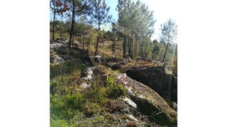 Terreno em Viseu · 2945 m² · 55 000 €