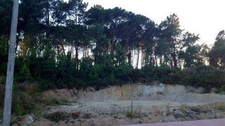 Land for sale in Carregal do Sal, Portugal — €25,000