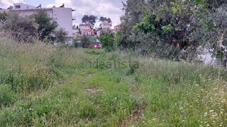 Land for sale in Cinfães, Portugal — €120,000