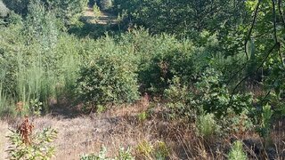 Land for sale in Vila Nova de Paiva, Portugal — €22,500