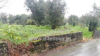Land for sale in Viseu, Portugal — €18,000