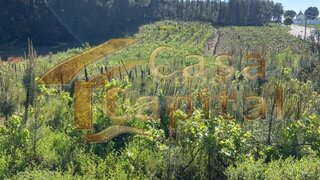 Land for sale in Sabrosa, Portugal — €170,000