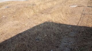 Land for sale in Gouveia, Portugal — €18,500