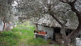 Land for sale in Mirandela, Portugal — €17,500