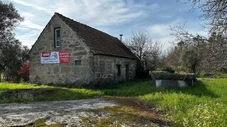 Terreno para venda em Nelas, Portugal — 92 500 €