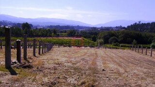 Land for sale in Monção, Portugal — €160,000