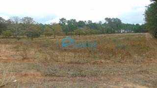 Terreno de 20 000 m² em Vila Real