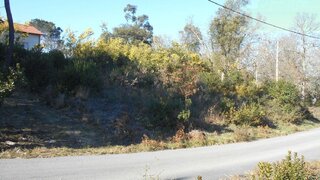 Land for sale in Mangualde, Portugal — €18,000