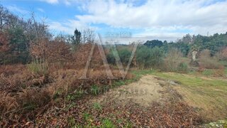 Land for sale in Santa Comba Dão, Portugal — €26,000