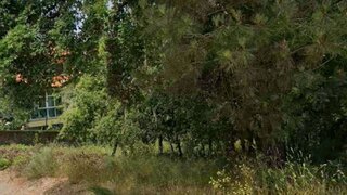 Terreno de 2500 m² em Viseu
