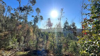 Land for sale in Ponte de Lima, Portugal — €24,000