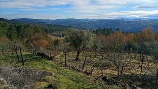 Terreno de 7500 m² em Viseu