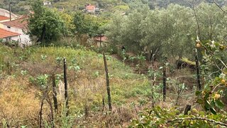 Land for sale in Resende, Portugal — €22,500