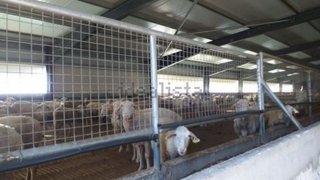 Terreno em Guarda · 20 000 m² · 250 000 €