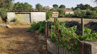 Land for sale in Fornos de Algodres, Portugal — €25,000