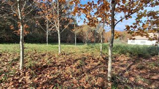 Terreno para venda em Vouzela, Portugal — 25 000 €