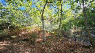 Land for sale in Vouzela, Portugal — €24,500