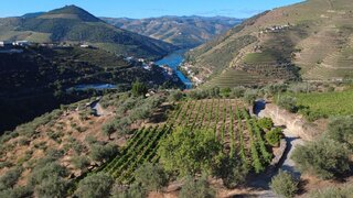 Land for sale in Sabrosa, Portugal — €65,000