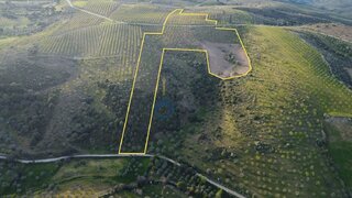 Terreno em Vila Flor
