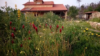 Land for sale in Seia, Portugal — €599,000