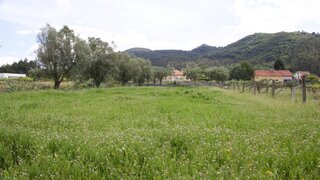Land for sale in Ponte de Lima, Portugal — €8,400
