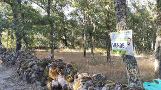 Land for sale in Sabugal, Portugal — €10,000