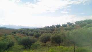 Land for sale in Valpaços, Portugal — €40,000