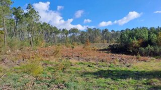 Land for sale in Sátão, Portugal — €12,500