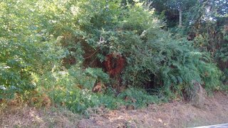 Terreno em Melgaço