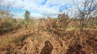 Land for sale in Santa Comba Dão, Portugal — €27,000