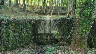 Terreno para venda em Vouzela, Portugal — 18 000 €