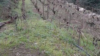 Land for sale in Tabuaço, Portugal — €45,000