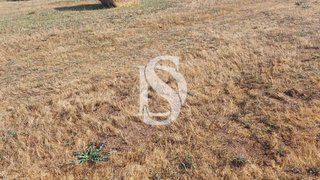 Land for sale in Vila Pouca de Aguiar, Portugal — €199,900